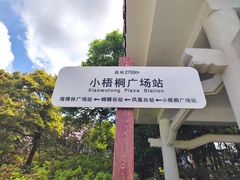 -梧桐山风景名胜区