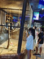 -酷嗒动物文化乐园(cutezoo西溪乐天城店)