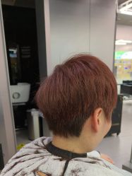 -东方麒麟·潘多拉SALON