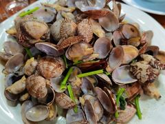 辣炒花蛤-老家黄墩饭店