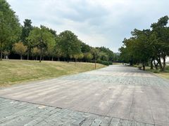 -眉山湿地公园(东坡区)