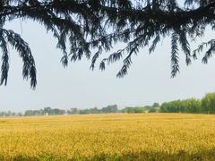 -嘉北郊野公园