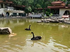 -舜耕山庄四时万和自助餐厅