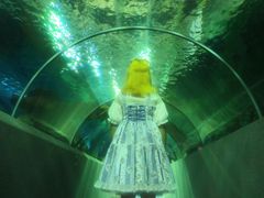 -秦皇岛新澳海底世界