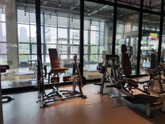 -GYMCARE VIVA(金开店)