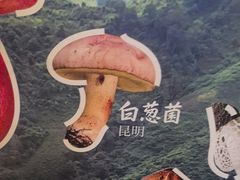 -季季山·云南野生菌火锅(上海首店)