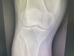 -上海安亭别墅花园酒店