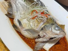 -刘胖子家常菜·蹄花焖藕(江汉路总店)