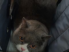 -佳雯宠物医院·皮肤科·内外科(春晓路分院)