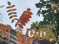 -楠溪江风景名胜区