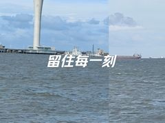 -上海吴淞炮台湾国家湿地公园