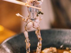 -靓蛙馆