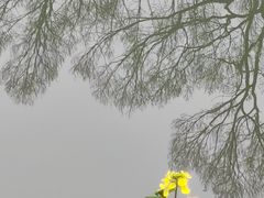 -绩溪龙川景区