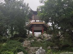 -莲花池公园