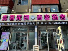 -青奢宠物·青奢猫舍