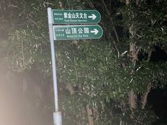 -紫金山山顶公园