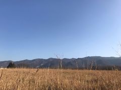 -秦始皇帝陵博物院-丽山园