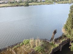 -子昂故里文化旅游区