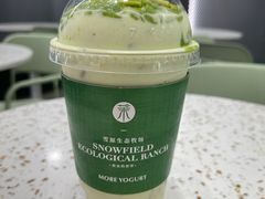 -茉酸奶(春熙路店)