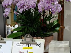 -2326 Coffee Roaster咖啡豆可选店(林肯公园店)