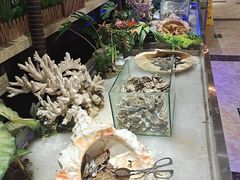 -北京汉斯特自助烤肉(临朐店)