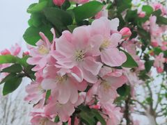 -清真海鲜大排档(原芥园道店)