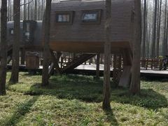 -黄海国家森林公园