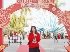 -灵玲国际马戏城