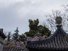 -徐州龟山景区