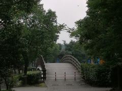 -上海海湾国家森林公园