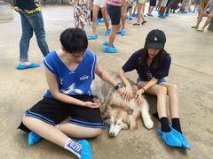 -TrueLove @ Neverland (Husky Cafe)