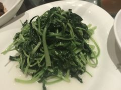 -苏浙汇(朝外店)