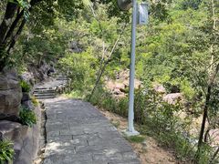 -广州白江湖森林公园