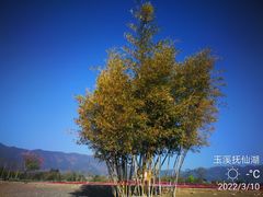 -抚仙湖禄充风景区