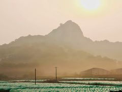 -威海大乳山景区