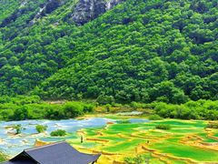 -黄龙山原始森林景区