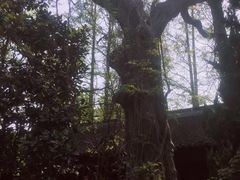 -汇龙潭