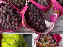 -马陆小张葡萄园农家乐