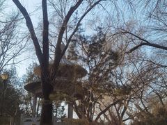 -玲珑塔公园
