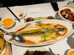 清蒸太湖白鱼-翡翠江南(国贸商城店)
