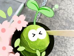 -鎌倉茶々(本店)