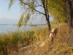 -野鸭湖国家湿地公园