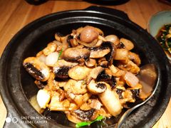 石锅口蘑-青年公社·烤鸭(天玥中心店)