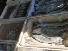 -芦潮港集贸市场