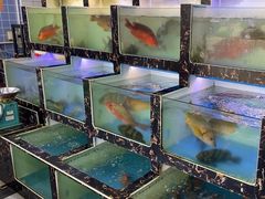 -众味海鲜大排档·活海鲜·潮汕味(南澳店)