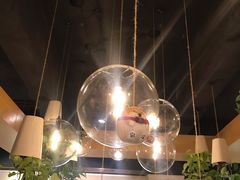 -柴务处·柴犬主题狗咖