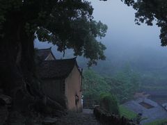 -杨家堂村