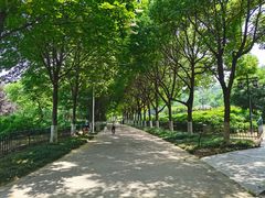 -幕燕滨江·长江观音景区