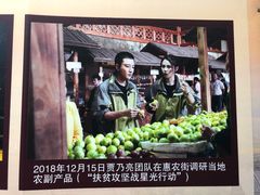 -海南槟榔谷黎苗文化旅游区