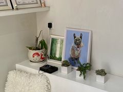 -拜鲁耶动物诊疗中心·宠家动物医院